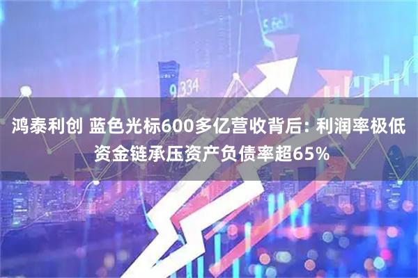 鸿泰利创 蓝色光标600多亿营收背后: 利润率极低 资金链承压资产负债率超65%